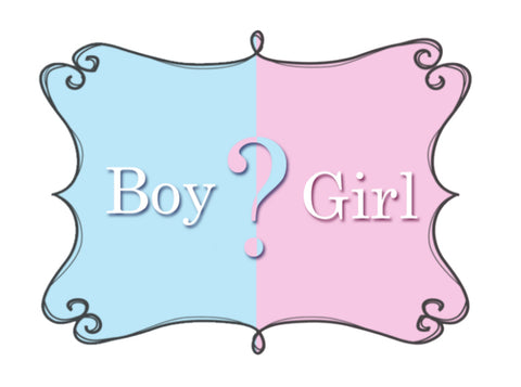 Gender Reveal Collection